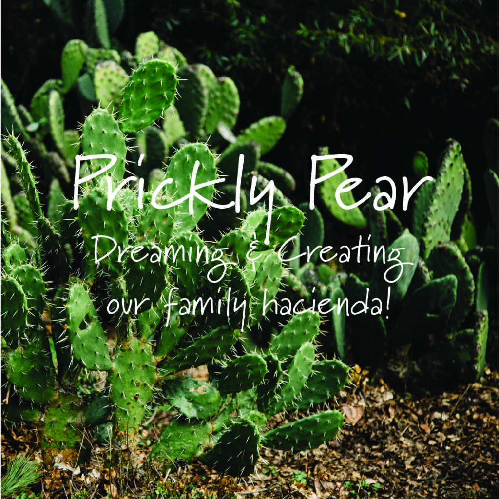 Prickly Pear blog written by author Jeannie Bruenning