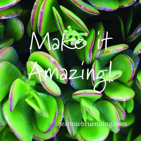 Make it Amazing blog written by Jeannie Bruenning