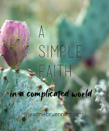 A-Simple-Faith-sow-and-reap