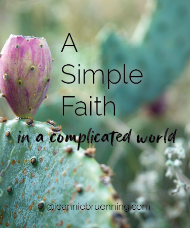 a simple faith in a complicated world by jeannie Bruenning