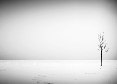 The Soul Felt Its Worth